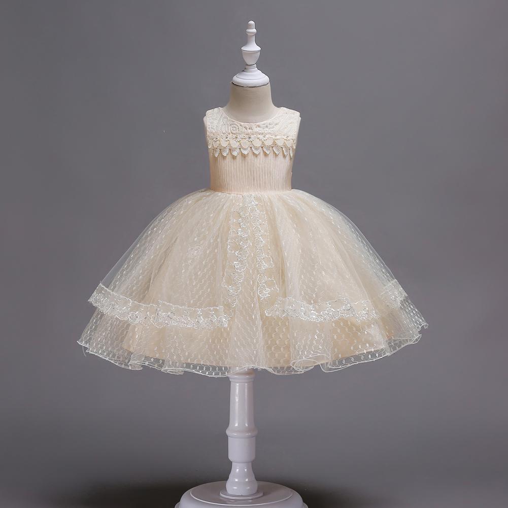Beautiful Girl Embroidered Princess Lace Dress