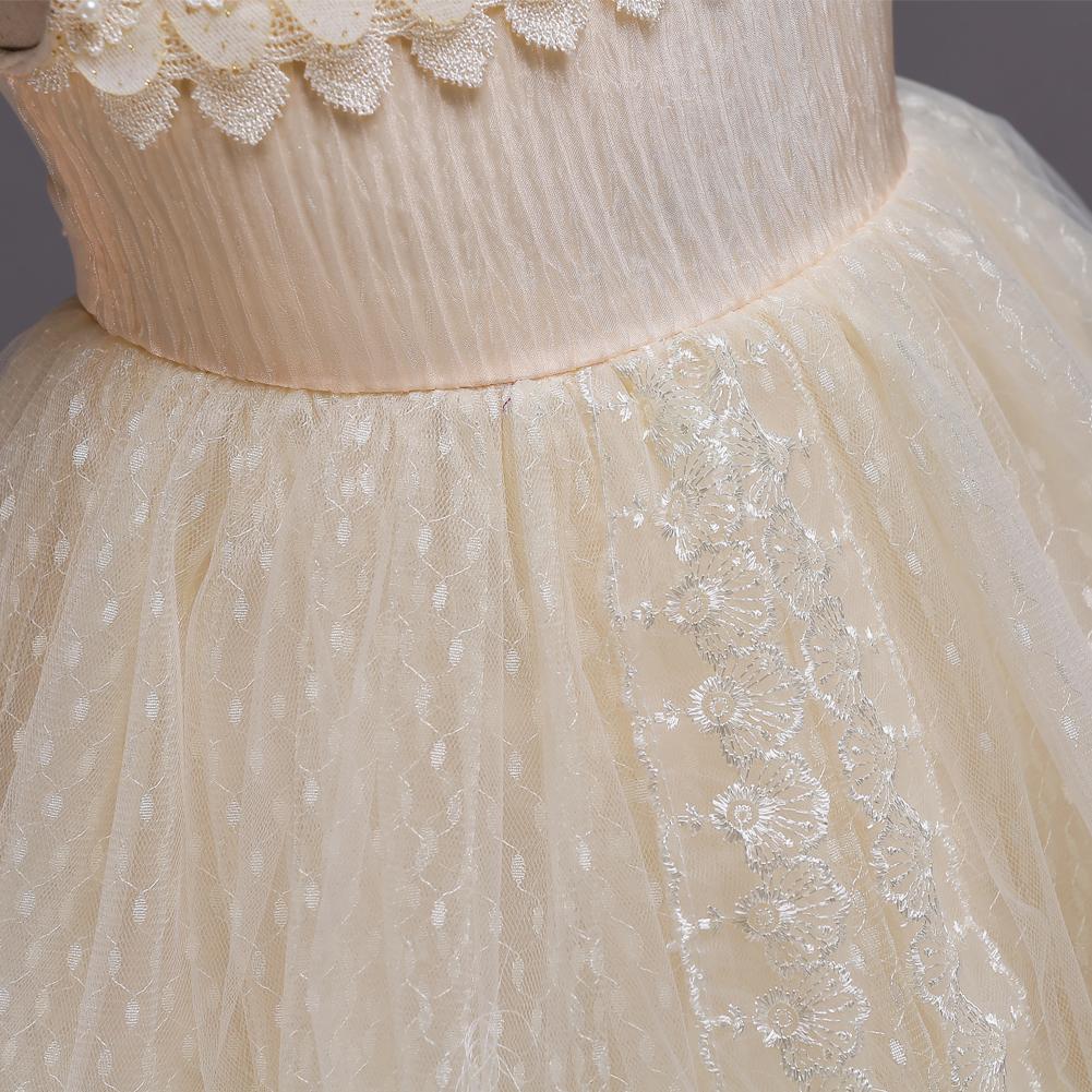 Beautiful Girl Embroidered Princess Lace Dress