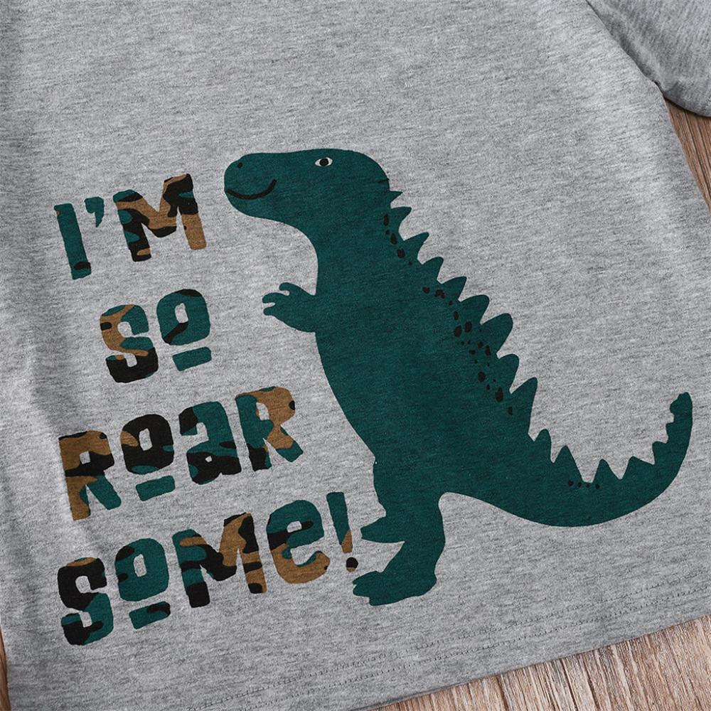 Boys Animal Dinosaur Letter Printed Short Sleeve Top & Camo Shorts wholesale boys clothing