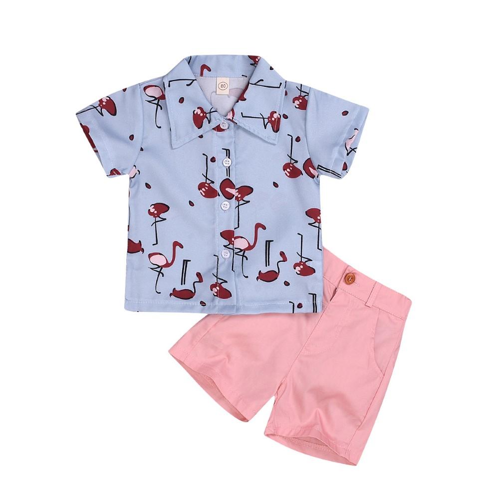 Boys Summer Boys' Animal Print Short Sleeve Shirt & Pink Shorts Wholesale Boys Clothing Suppliers