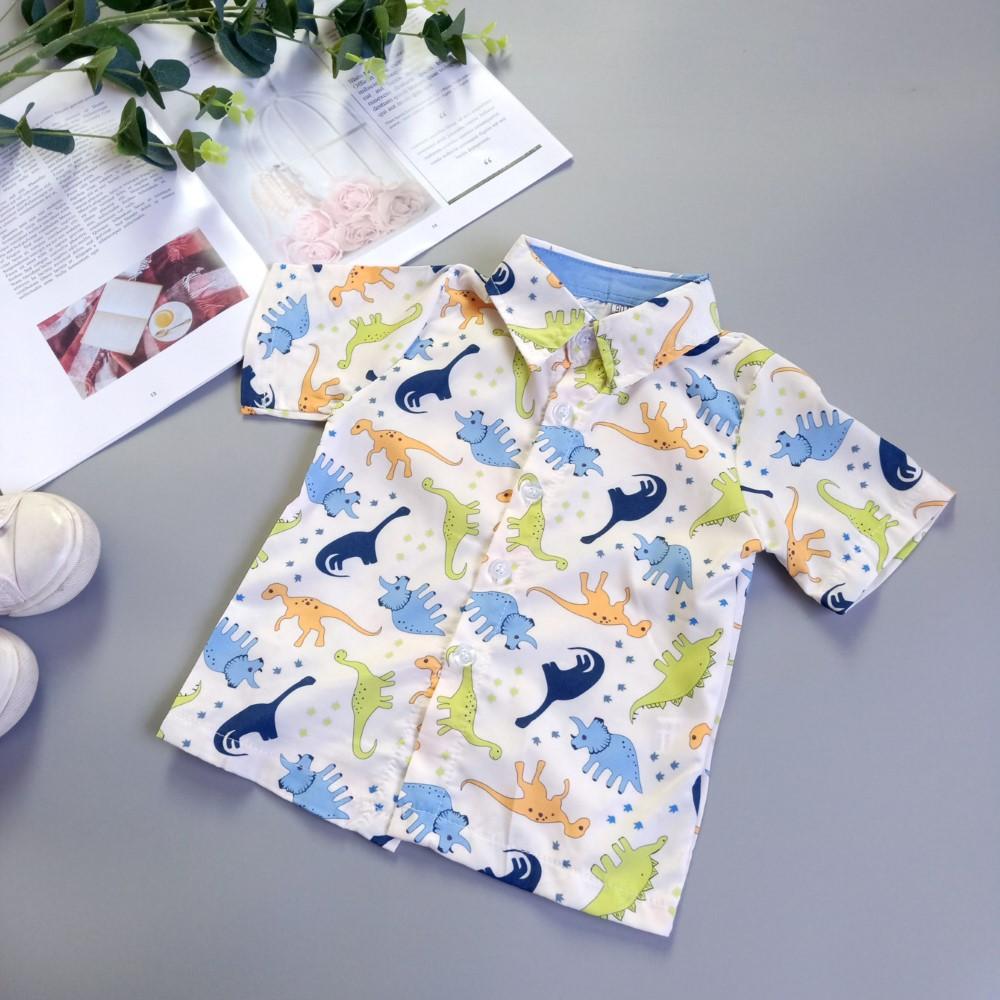 Boys Summer Boys' Dinosaur Print Lapel Short Sleeve Shirt & Shorts Wholesale Boys Clothing