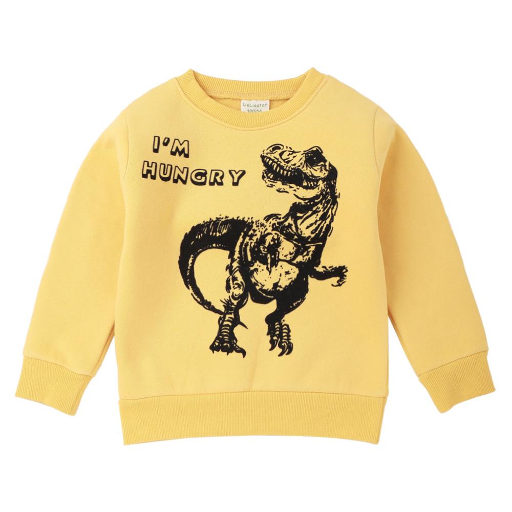 Boys Dinosaur Letter Printed Dinosaur Long Sleeve Tops Wholesale