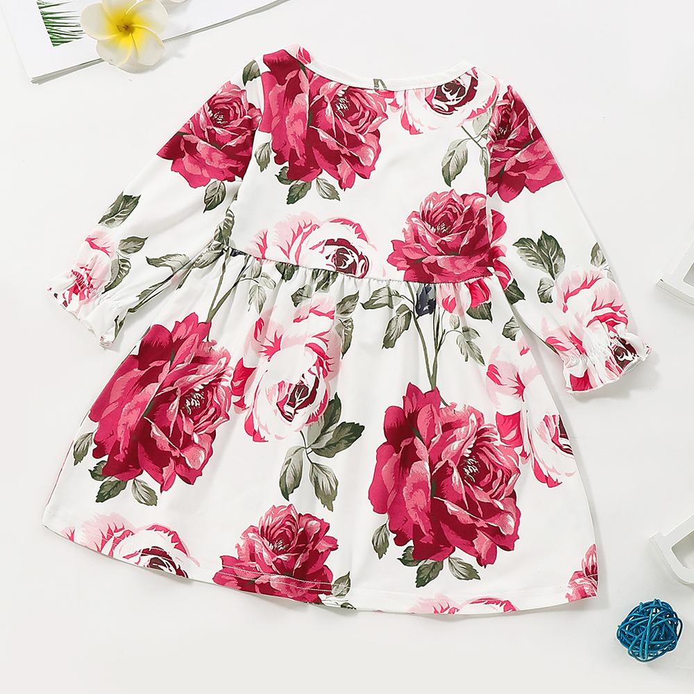 Baby Girl Floral Printed Long Sleeve Dress baby clothes wholesale
