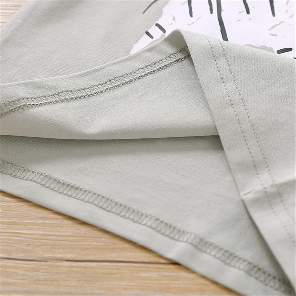 Boys Homewear Short Sleeve Zebra Letter Printed Top & Shorts boy boutique clothing wholesale