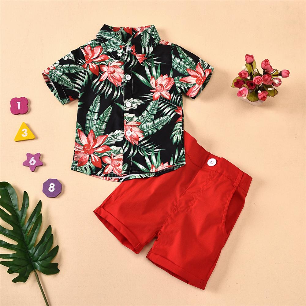Boys Lapel Short Sleeve Cartoon Printed Top & Solid Shorts Little Boys Wholesale Clothing