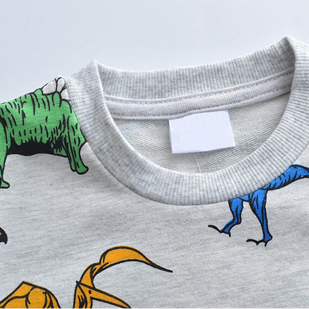 Boys Long Sleeve Animal Dinosaur Printed T-shirt