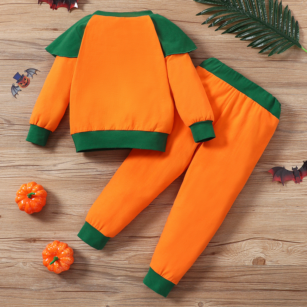 Long Sleeve Cartoon Halloween Long Sleeve Top & Pants kids wholesale clothing