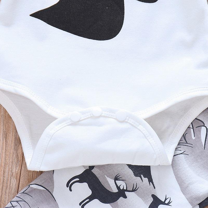 Baby Boys Long Sleeve Cartoon Printed Romper & Pants & Hat baby wholesale clothing