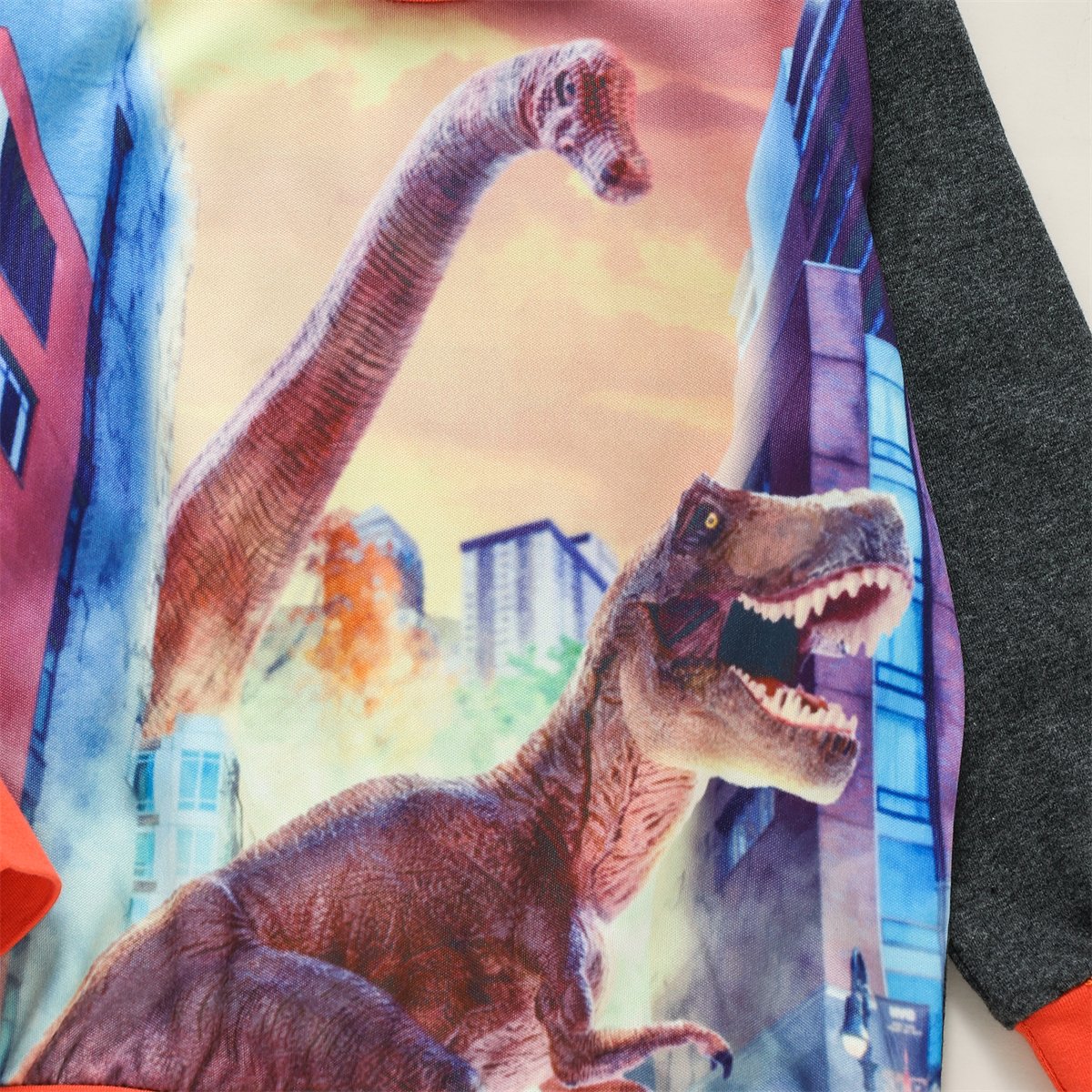 Boys Long Sleeve Dinosaur Top & Pants wholesale kids clothing