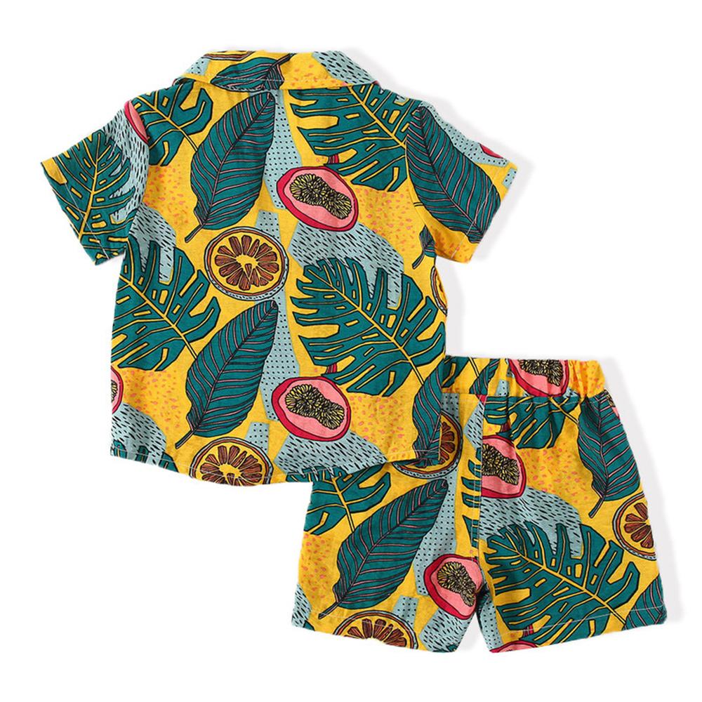 Boys Short Sleeve Beach Style Printed Top & Shorts Wholesale Boys Clothes