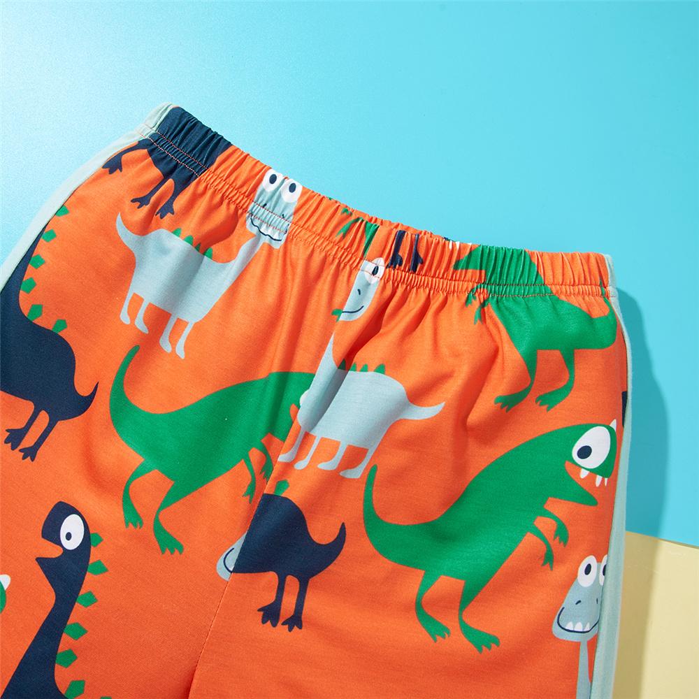 Boys Short Sleeve Cute Dinosaur Printed T-shirt & Shorts wholesale boys clothing