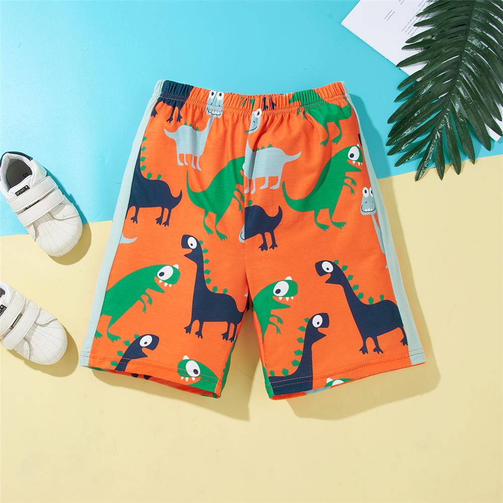 Boys Short Sleeve Cute Dinosaur Printed T-shirt & Shorts wholesale boys clothing