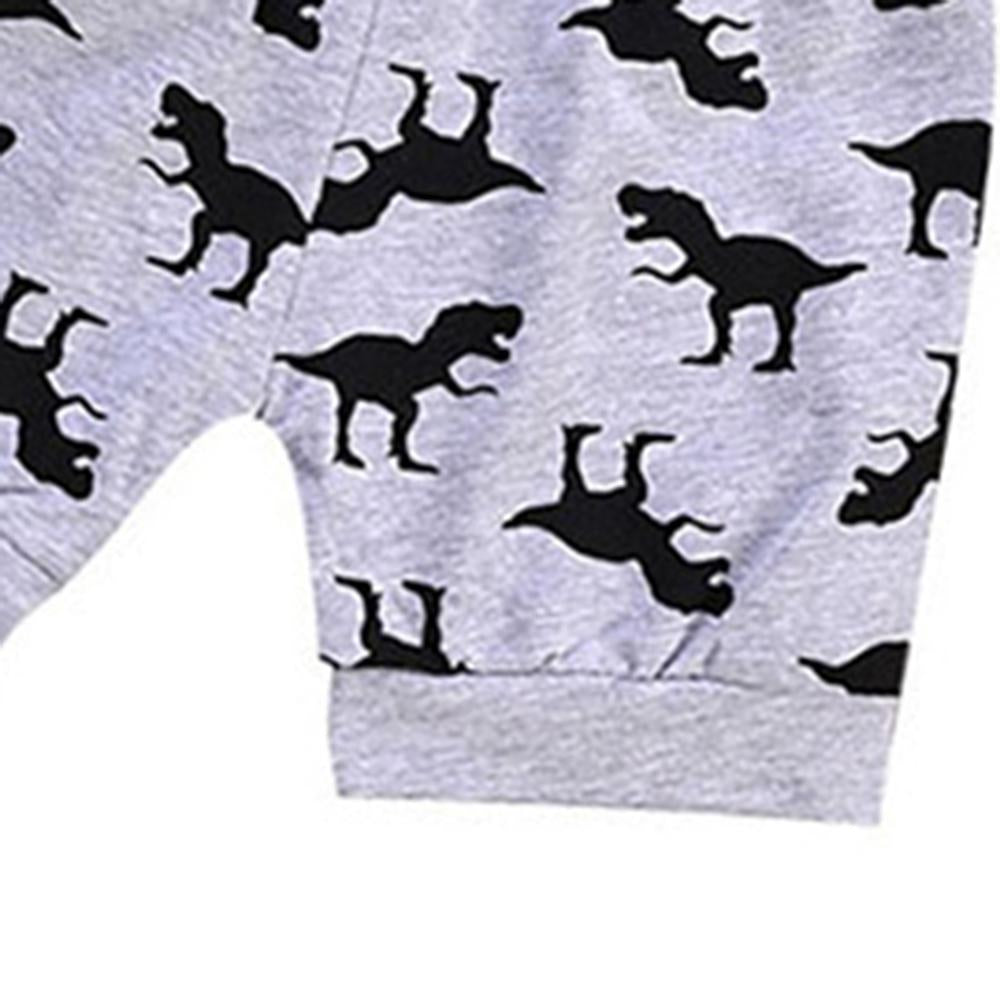 Boys Short Sleeve Dinosaur Printed T-shirts & Shorts baby boy clothes wholesale