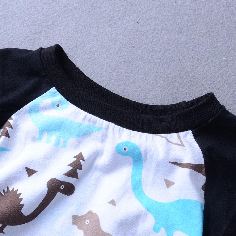 Boys Short Sleeve Dinosaur Printed Top & Ripped Jeans Wholesale Baby Boy Boutique