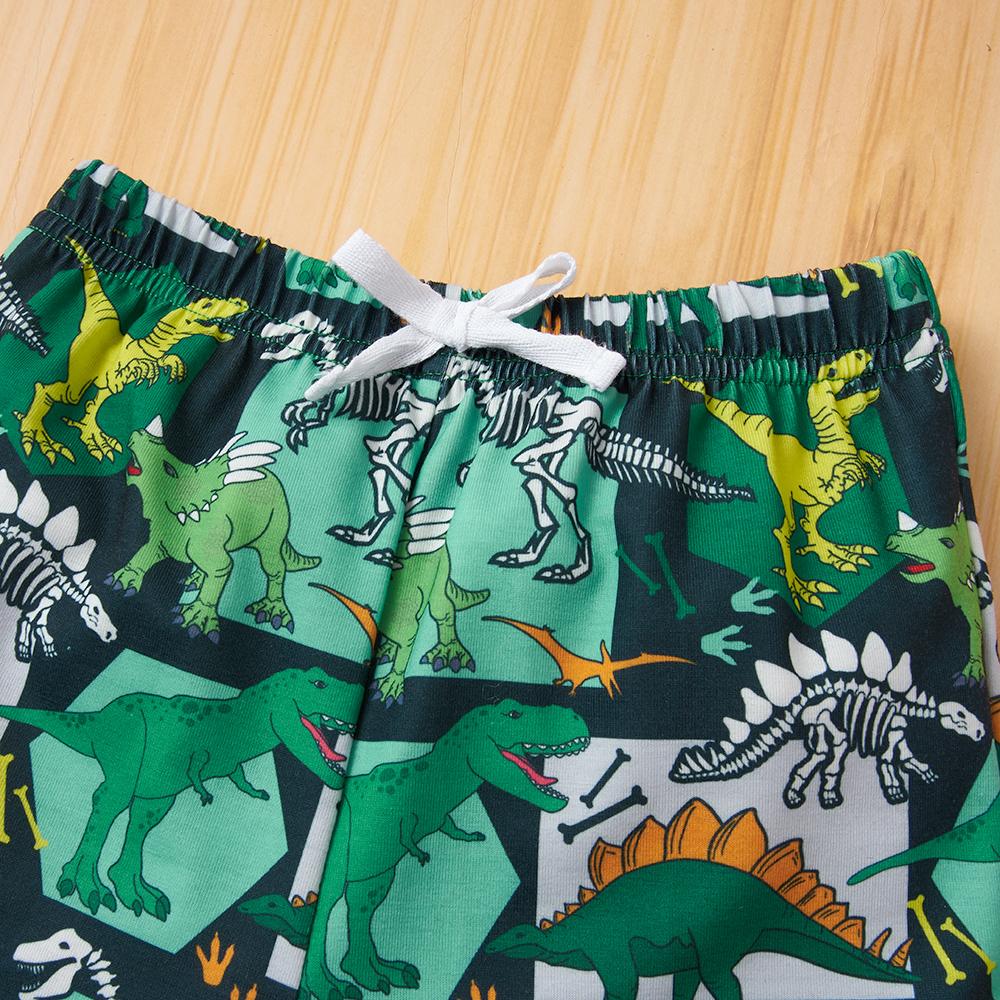 Boys Short Sleeve Letter Pocket Dinosaur Printed Top & Shorts boy boutique clothing wholesale