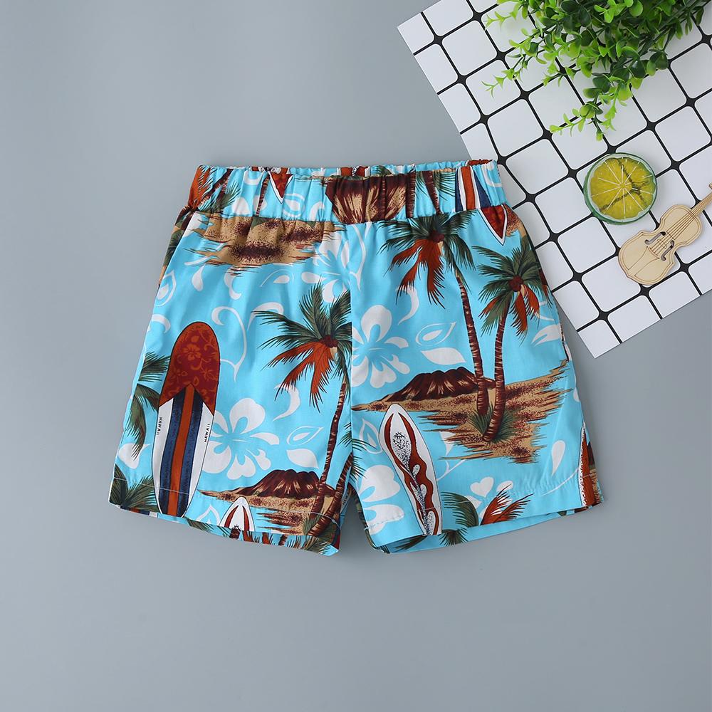 Summer Boy Suit Children'S Seaside Vacation Beach Pants Flower Shorts Short-Sleeved Suit Wholesale Boys Clothing Suppliers