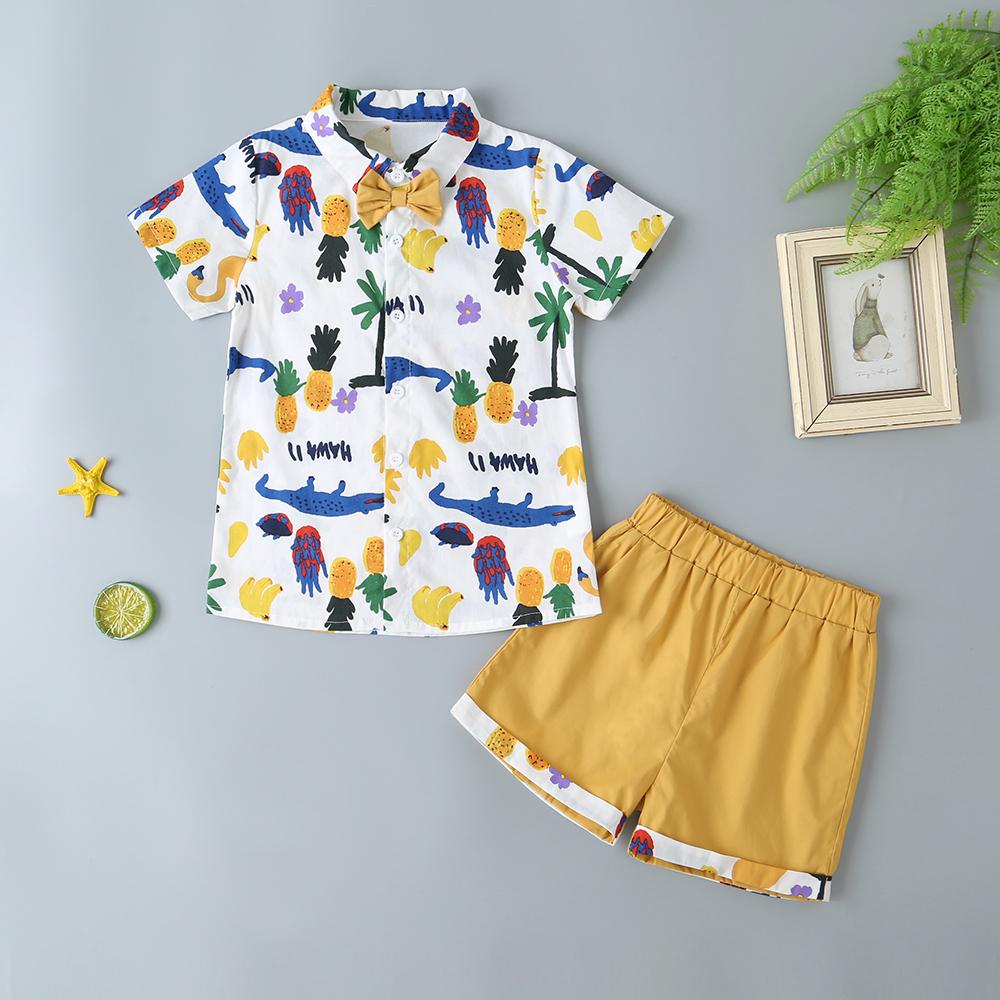 Summer Boys' New Casual Beach Short-Sleeved Suit Fruit Pineapple Suit Two-Piece Suit Wholesale Boys Clothing Suppliers