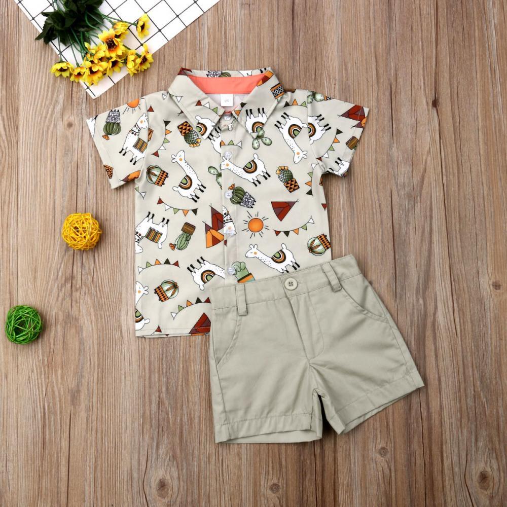 Boys Cartoon Animal Print Lapel Short Sleeve Shirt & Shorts Wholesale Toddler Boy Clothing