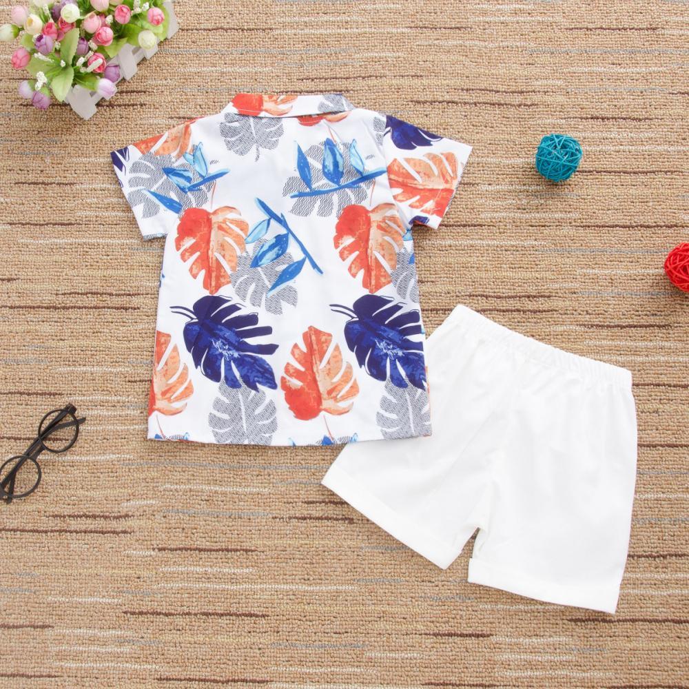 Boys' Leaf Print Lapel Short Sleeve Shirt & Solid Shorts Little Boys Wholesale Clothing