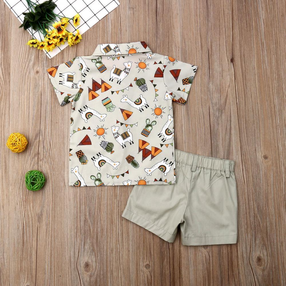 Boys Cartoon Animal Print Lapel Short Sleeve Shirt & Shorts Wholesale Toddler Boy Clothing