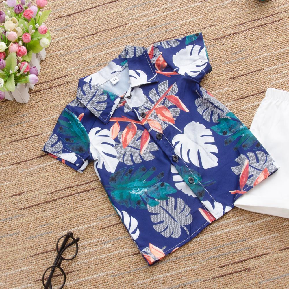 Boys' Leaf Print Lapel Short Sleeve Shirt & Solid Shorts Little Boys Wholesale Clothing