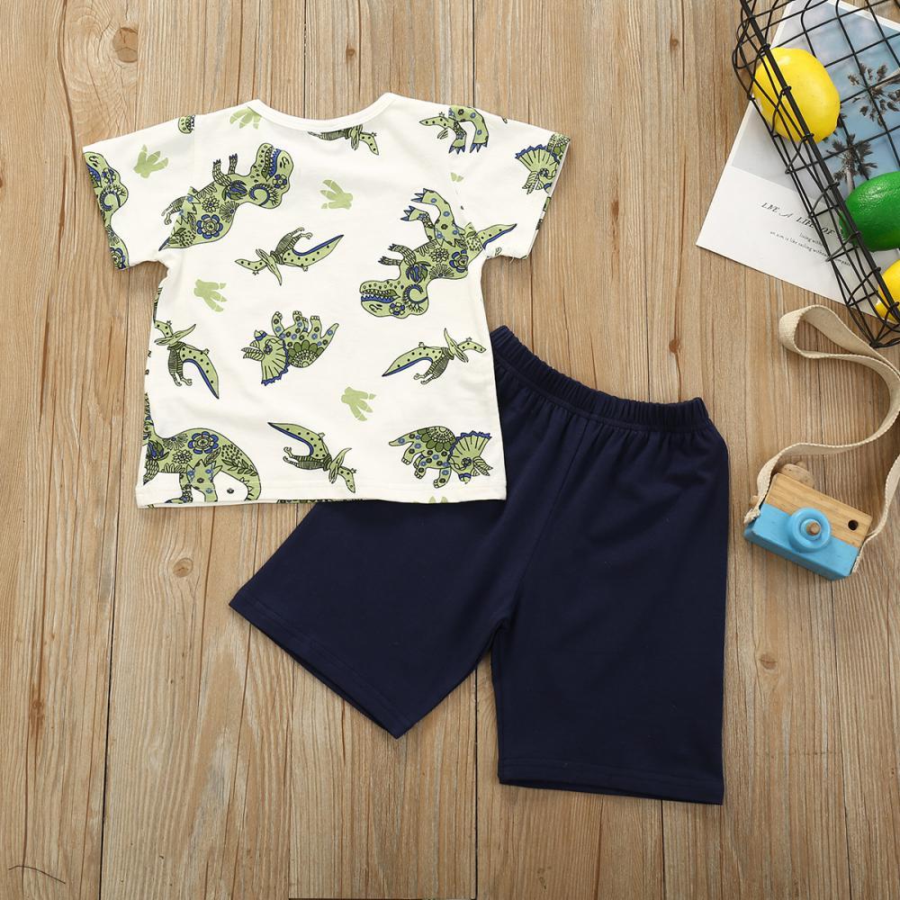 Boys Summer Boys' Dinosaur Print Short Sleeve T-Shirt & Shorts Boy Clothing Wholesale