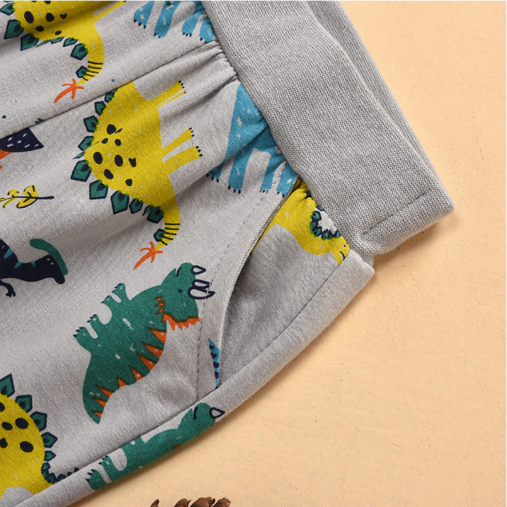 Boys Summer Boys' Dinosaur Print Solid Short Sleeve Round Neck T-Shirt & Pants Wholesale Boys Clothing