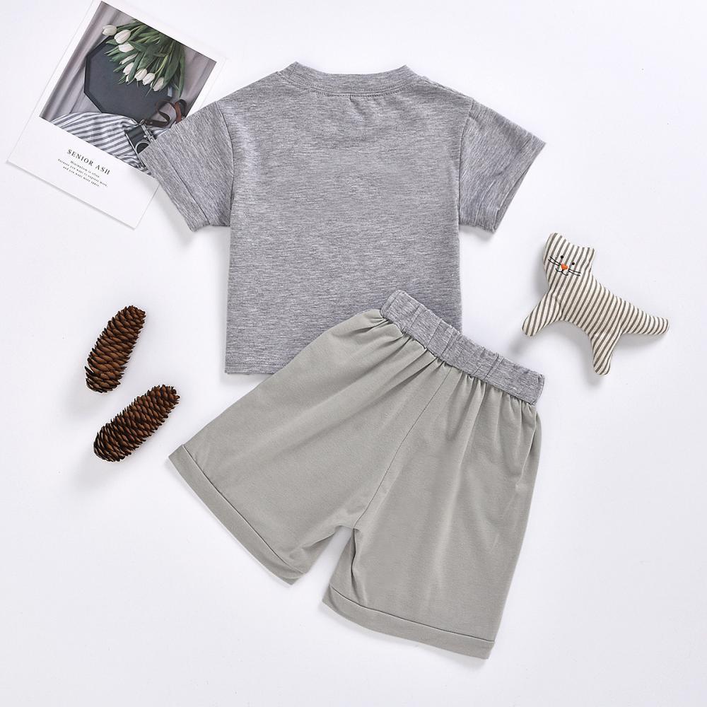 Boys Summer Boys' Bear Print Short Sleeve T-Shirt & Shorts Wholesale Boys Suits